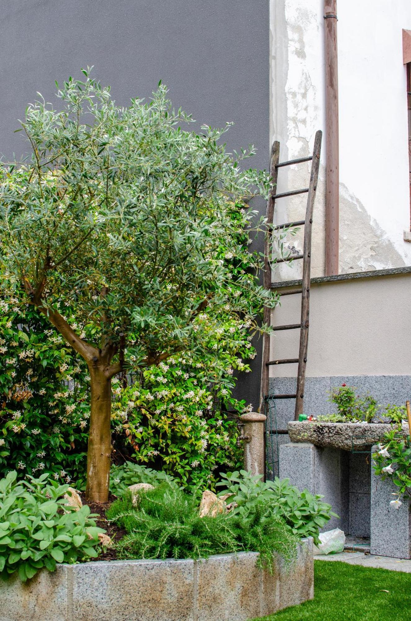Vista B&B 佩拉 外观 照片
